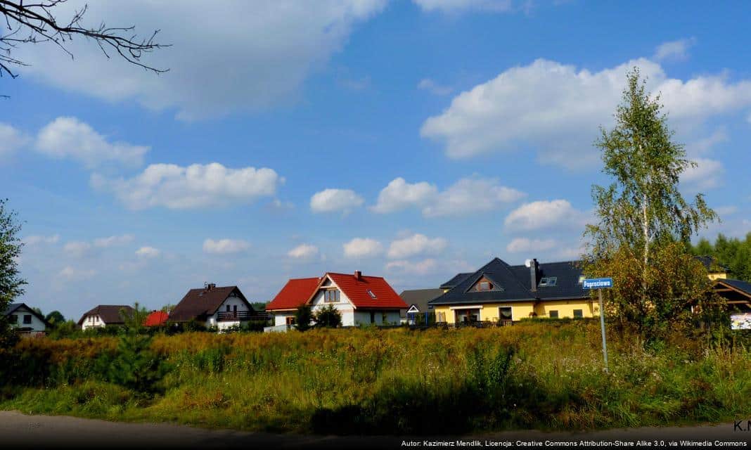 Gęsta mgła w regionie – ostrzeżenie dla mieszkańców Praszki