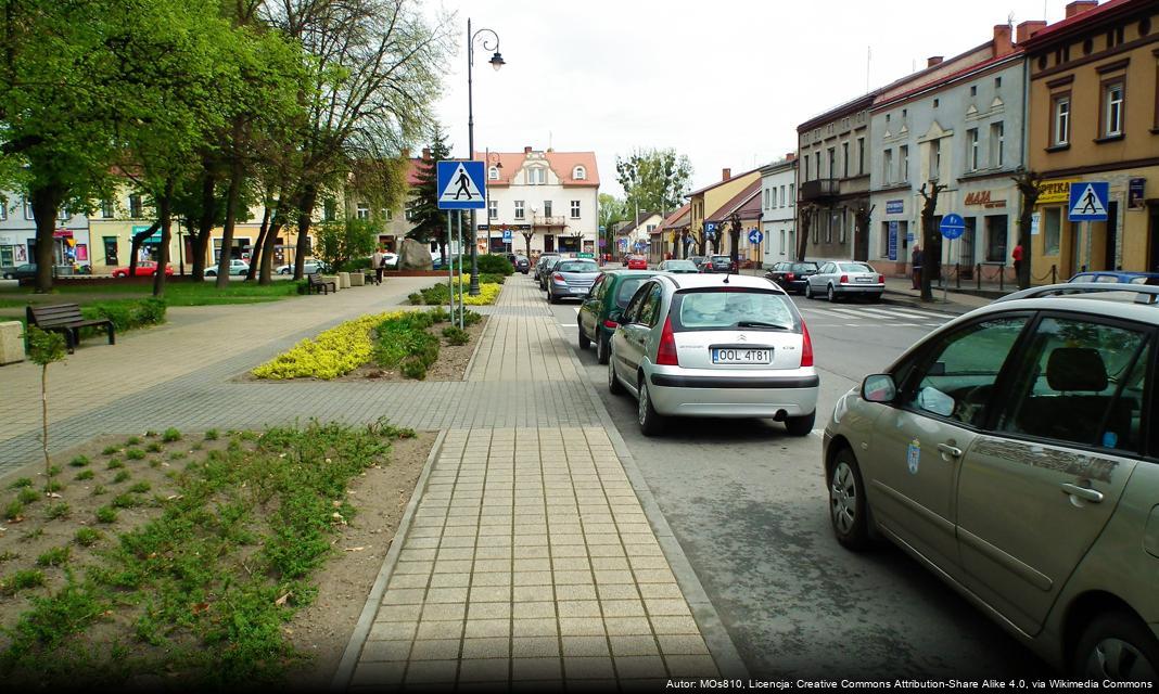 Ostrzeżenie o silnym wietrze w regionie Praszki